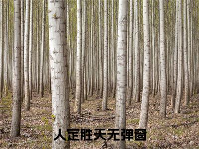 人定胜天（ 韩云萧炎）全文免费阅读无弹窗大结局_（人定胜天全文免费阅读无弹窗）最新章节列表