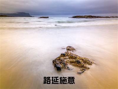 路延施意小说（施意路延）全文免费阅读无弹窗大结局_路延施意小说免费阅读_笔趣阁（施意路延小说）