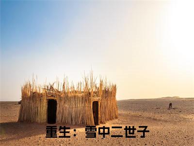 重生：雪中二世子(徐野)全文免费阅读无弹窗大结局_重生：雪中二世子最新章节列表
