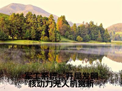 军工系统：开局发明核动力无人机（ 黄平方芸）小说最新章节阅读-全网最新首发小说军工系统：开局发明核动力无人机（ 黄平方芸）免费阅读全章节