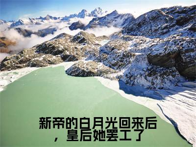 新帝的白月光回来后，皇后她罢工了（连婳傅昀璋全章节完整版）免费阅读_（连婳傅昀璋）新帝的白月光回来后，皇后她罢工了全文无删减免费阅读