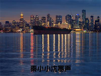 秦小小沈寒声结局_（秦小小沈寒声）秦小小沈寒声最新章节列表_笔趣阁