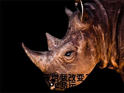 穿书末世我改变了NPC命运小说全文免费阅读_（仇九九颜琛）穿书末世我改变了NPC命运最新章节列表笔趣阁