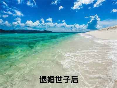 【新书】《 云千忆卫析巍》全文免费阅读无弹窗大结局-退婚世子后，她改嫁朝中摄政王全文全章节免费阅读