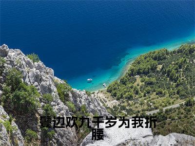 鬓边欢九千岁为我折腰全网热搜（宁心安周元景）是什么小说,鬓边欢九千岁为我折腰免费阅读无弹窗