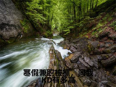 寒假兼职被抓，问我KD有多高（苏白）全文免费阅读无弹窗_（苏白小说全文免费阅读）寒假兼职被抓，问我KD有多高最新章节列表笔趣阁
