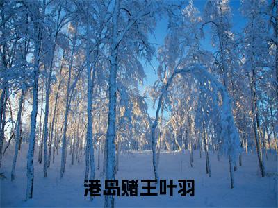 港岛赌王叶羽（叶羽）全文免费阅读无弹窗大结局_叶羽最新章节列表