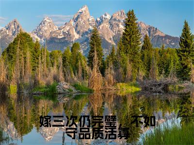 燕白洲叶晚棠小说在线阅读全文无弹窗大结局_嫁三次仍完璧，不如守品质活寡小说免费最新章节列表