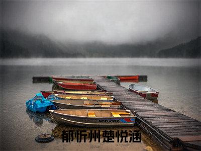 小说郁忻州楚悦涵无弹窗免费阅读-新上热文小说（楚悦涵郁忻州）讲的是什么