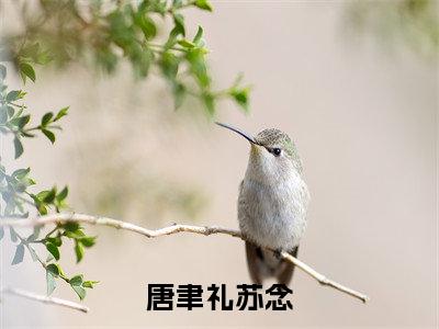 唐聿礼苏念(唐聿礼苏念)全文免费阅读无弹窗大结局_（唐聿礼苏念）的小说（唐聿礼苏念）最新章节列表
