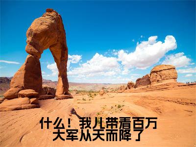 什么！我儿带着百万大军从天而降了小说全文免费阅读（ 萧羽陈忠）全文免费 萧羽陈忠读无弹窗大结局什么！我儿带着百万大军从天而降了