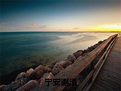 宁安谢清小说（谢清宁安）全文在线阅读免费大结局_宁安谢清小说最新章节列表