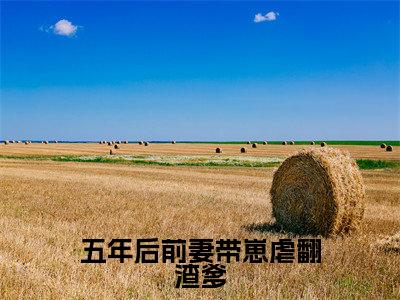 五年后前妻带崽虐翻渣爹（苏笙厉玺寒）全文免费阅读无弹窗大结局_五年后前妻带崽虐翻渣爹免费阅读无弹窗