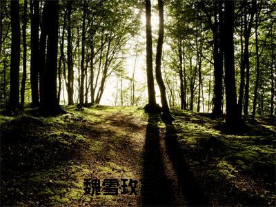 魏雪玫言成旭全文免费阅读-全网首发小说魏雪玫言成旭