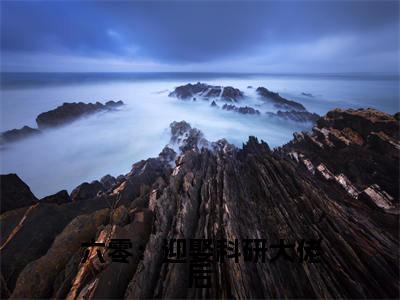 【新书】六零：迎娶科研大佬后，他赢麻了全文全章节免费阅读- 夏黎陆定远小说免费阅读无弹窗最新章节列表
