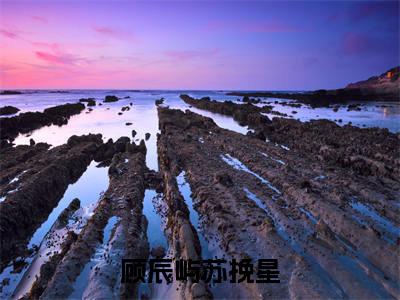 顾辰屿苏挽星（苏挽星顾辰屿）全文免费阅读无弹窗_顾辰屿苏挽星小说免费阅读_笔趣阁