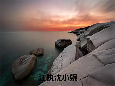 （江执沈小婉）沈小婉江执全文完整版-最新热门榜单小说江执沈小婉（沈小婉江执）