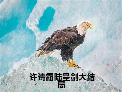 小军医皱眉，七零糙汉红眼拼命全文免费阅读无弹窗大结局- 许诗霜陆星剑小说在哪里可以看