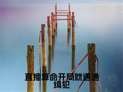 小说直播算命开局就遇通缉犯全文免费阅读无弹窗_（姜也完结）直播算命开局就遇通缉犯小说免费阅读无弹窗最新章节列表
