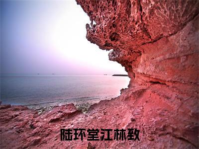 陆环堂江林致小说全文-陆环堂江林致精选小说陆环堂江林致大结局阅读