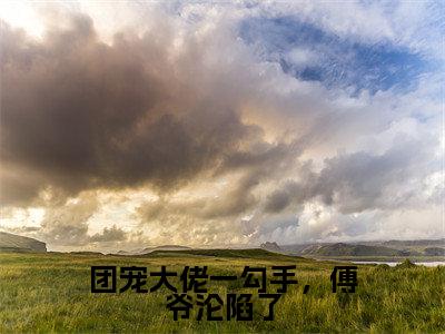 团宠大佬一勾手，傅爷沦陷了小说全文免费阅读正版宋余傅寒聿免费阅读无弹窗