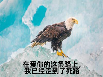 谢明哲明奚（在爱你的这条路上，我已经走到了死路）全文免费阅读无弹窗_在爱你的这条路上，我已经走到了死路最新小说