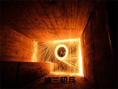 纳兰昭月全文免费阅读无弹窗大结局-纳兰昭月小说在哪里可以看