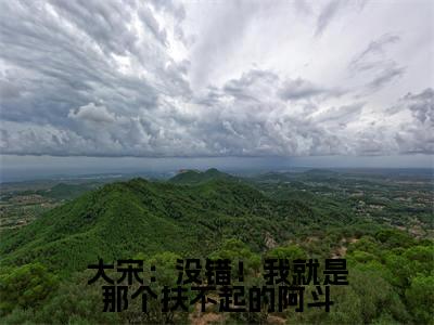  刘禅赵构（大宋：没错！我就是那个扶不起的阿斗）全文免费阅读无弹窗大结局_ 刘禅赵构最新章节列表_笔趣阁（大宋：没错！我就是那个扶不起的阿斗）