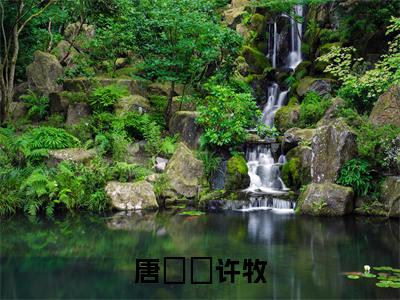 （唐玥玥许牧）全文免费阅读无弹窗大结局_唐玥玥许牧免费最新章节列表_笔趣阁