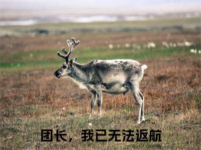 团长，我已无法返航（江蔓蔓季锦川）全文免费阅读无弹窗大结局_江蔓蔓季锦川最新章节列表