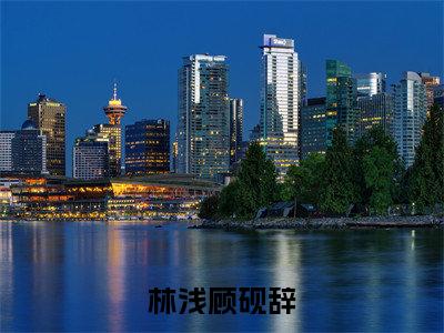 林浅顾砚辞（林浅顾砚辞）全文免费阅读无弹窗大结局_林浅顾砚辞免费阅读最新章节列表_笔趣阁