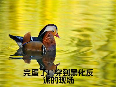 叶净月顾惊尘的小说（完蛋了！穿到黑化反派的现场）免费阅读_叶净月顾惊尘小说免费阅读-笔趣阁