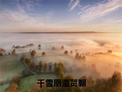 千雪凰温贺朝小说全文免费阅读无弹窗大结局_（千雪凰温贺朝免费阅读无弹窗）最新章节列表_笔趣阁