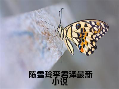 重生后，奶奶让我嫁给末日大佬全文免费阅读_（ 陈雪玲李君泽免费阅读无弹窗） 陈雪玲李君泽最新章节列表笔趣阁