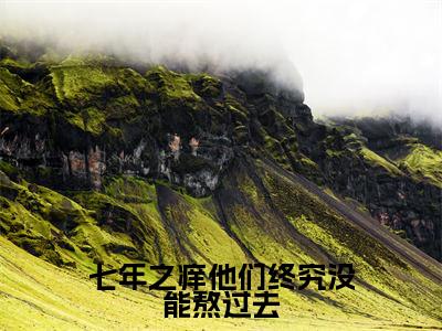 七年之痒他们终究没能熬过去小说全文免费阅读_（唐苒苒顾若修）七年之痒他们终究没能熬过去最新章节列表笔趣阁