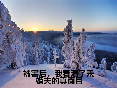 傅殷雷程秋桐（被害后，我看清了未婚夫的真面目）小说最后结局-（被害后，我看清了未婚夫的真面目）完结版免费阅读