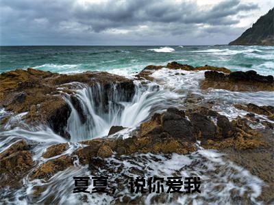 夏夏，说你爱我全文无弹窗阅读温知夏顾平生大结局全文免费