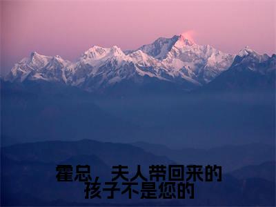 霍一珩庄嘉宁（霍总，夫人带回来的孩子不是您的）全文免费阅读无弹窗大结局_霍一珩庄嘉宁最新章节列表_笔趣阁（霍总，夫人带回来的孩子不是您的）