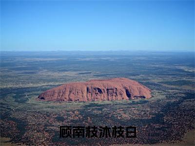 沐枝白顾南枝（顾南枝沐枝白）小说大结局免费阅读（顾南枝沐枝白）-完结版沐枝白顾南枝小说推荐