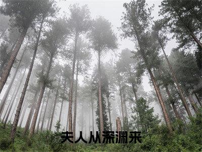 夫人从深渊来（傅珞寒简茵熹）全文免费阅读无弹窗大结局_（夫人从深渊来免费阅读全文大结局）最新章节列表