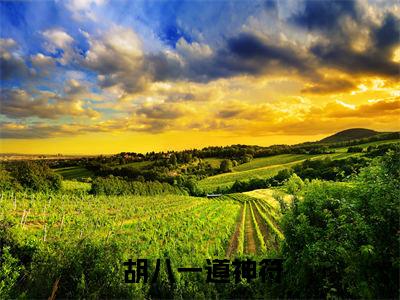  胡八一道神符我三句话，让胡一八放弃挣扎全文阅读 胡八一道神符免费阅读无弹窗