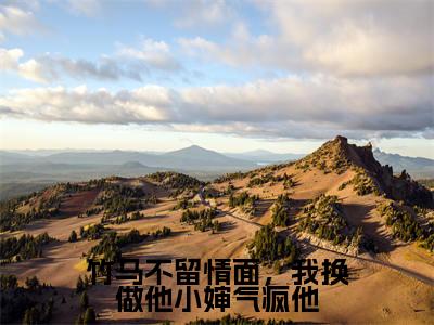 徐庭宴简晨（竹马不留情面，我换做他小婶气疯他）全文无弹窗阅读-精彩小说竹马不留情面，我换做他小婶气疯他（徐庭宴简晨）
