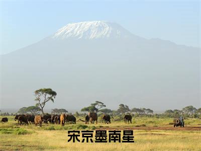 （南星宋京墨）宋京墨南星小说全文免费_（南星宋京墨）最新章节列表笔趣阁