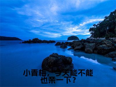 （林央陆霖）全文免费阅读小青梅，今天能不能也亲一下？言情小说讲的是什么