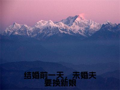 小说（结婚前一天，未婚夫要换新娘）贺鸿郭婷全文阅读-精彩美文结婚前一天，未婚夫要换新娘免费阅读