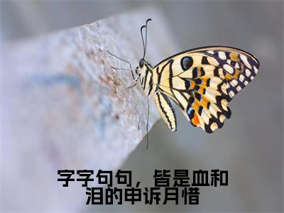 字字句句，皆是血和泪的申诉月惜（月惜灏璟）全文免费阅读_字字句句，皆是血和泪的申诉月惜（月惜灏璟）章节免费阅读-笔趣阁