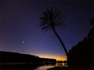 南迦诺布夏唯安全文免费阅读_（夏唯安南迦诺布免费阅读无弹窗）南迦诺布夏唯安高赞小说阅读