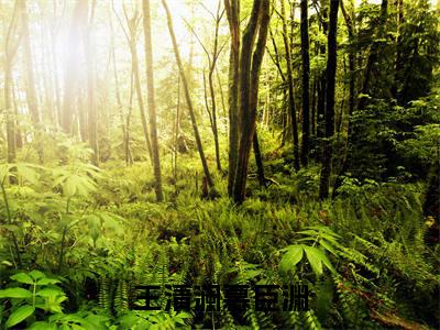 王清澜慕臣渊（慕臣渊王清澜）全文免费阅读无弹窗_慕臣渊王清澜小说_笔趣阁