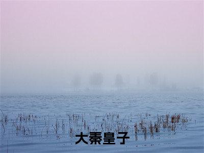 大秦皇子小说（贺青）全文免费阅读无弹窗大结局_（大秦皇子）贺青小说最新章节列表