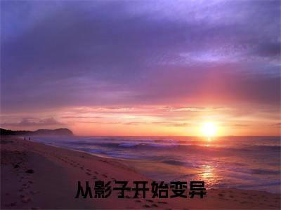 精选小说从影子开始变异（洛孑）全本阅读_洛孑免费阅读_笔趣阁